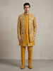 Mustard Yellow Architectural Mosaic Indo-Western Set